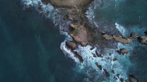 Coral rocks on the beach Stock Footage 314031697
