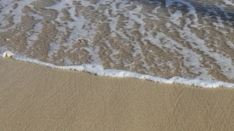 Coral On The Sand Stock Footage 104810433