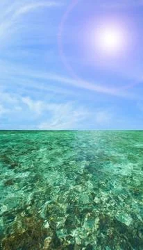 Coral scape Stock Photos