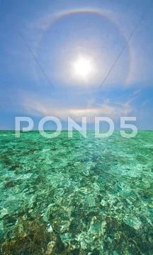 Coral scape Stock Photos