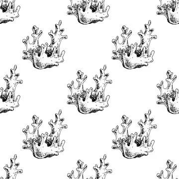 Coral, seaweed sketch graphic element. Trendy coral reef under water. Black s イラスト素材