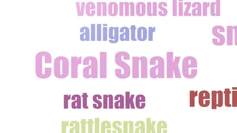 Coral Snake Word Cloud Animated Isolated On White Stock Footage 103674050