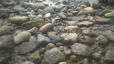 Coral stone Stock Footage 169126314