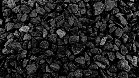 Coral Stopmotion BW Stock Footage 303688462