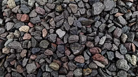 Coral Stopmotion Shake Stock Footage 303688460