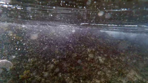 Coral surf Stock Footage 113687803