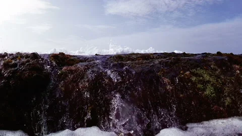 Coral surf Stock Footage 113688510