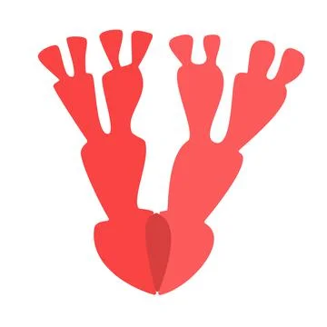 Coral twigs in two colors logo or icon Stock Illustration