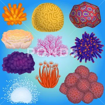 Coral vector sea coralline or exotic cooralreef undersea illustration Stock Illustration