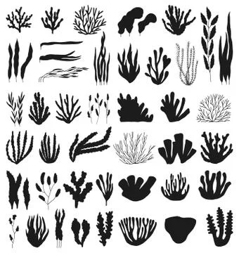 Corals and algae large vector silhouette set. isolated on white background 스톡 일러스트