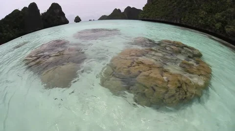 Corals and Lagoon Stock Footage 52257321