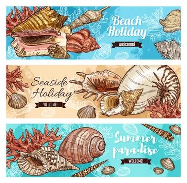 Corals and marine shells, beach mollusk Stock Illustration
