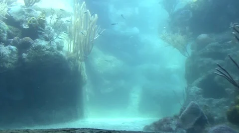 Corals and ocean 스톡 동영상 908921