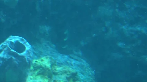Corals and ocean Stock Footage 908958