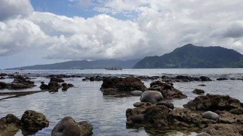 Corals appear on the beach due to low tide Stock Footage 206371759