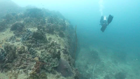Corals with diver in the background Stock Footage 282524383