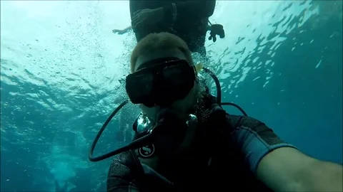 Corals Stock Footage 71891069