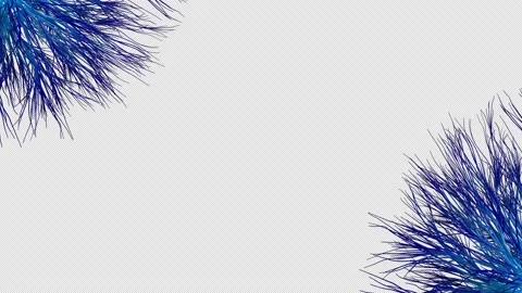 Corals  seaweed Stock Footage 200462895