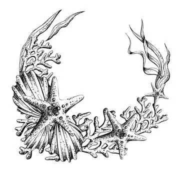 Corals, seaweed, shells, corals and starfish. Hand drawn graphic illustration in 스톡 일러스트