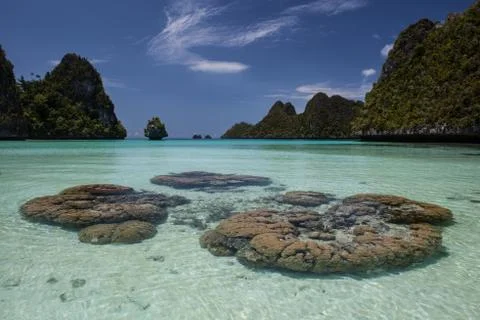 Corals in Shallow Lagoon Stock Photos