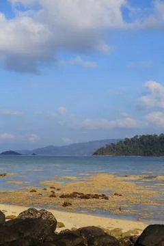 Corals in shallow waters during low tide Stock Photos