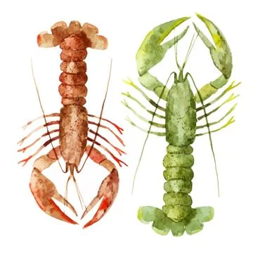 Corals with shells and crabs 스톡 일러스트