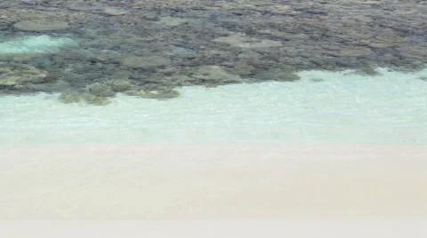 Corals in tropical lagoon Stock Footage 1055996