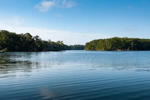 Corbitt Creek Stock Photos