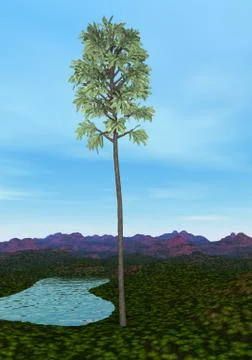 Cordaites tree - 3D render Illustrazione stock