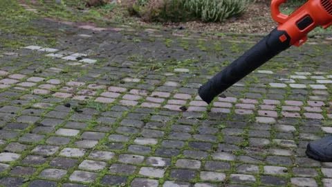Cordless leaf blower clearing dirt and small stones from garden path, front view Stock Footage 326968874