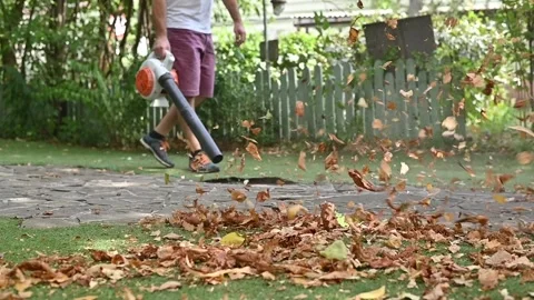 Cordless Leaf Blowers. handheld, cordless, electric leaf blower in a garden. 스톡 동영상 250075109
