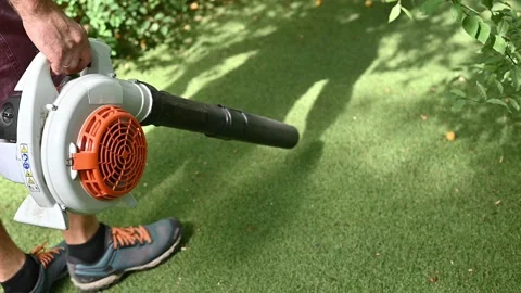 Cordless Leaf Blowers. handheld, cordless, electric leaf blower in a garden. Stock Footage 250075110