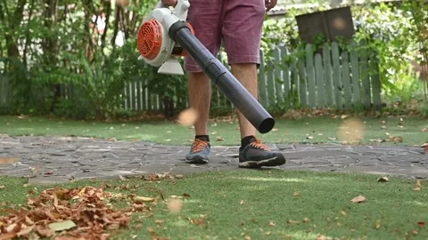 Cordless Leaf Blowers. handheld, cordless, electric leaf blower in a garden. 스톡 동영상 250075118