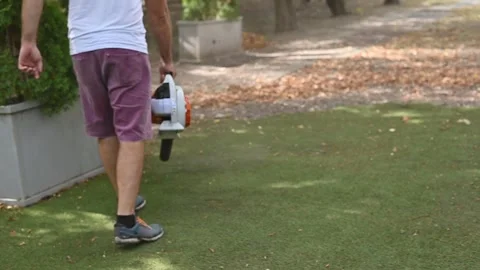 Cordless Leaf Blowers. handheld, cordless, electric leaf blower in a garden. Stock Footage 250075119