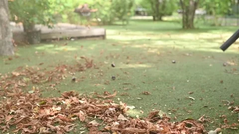 Cordless Leaf Blowers. handheld, cordless, electric leaf blower in a garden. Stock Footage 250075133