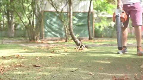 Cordless Leaf Blowers. handheld, cordless, electric leaf blower in a garden. Stock Footage 250075138