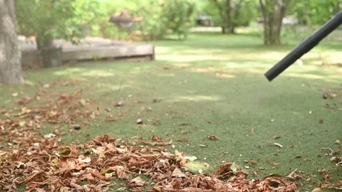 Cordless Leaf Blowers. handheld, cordless, electric leaf blower in a garden. Stock Footage 250075139