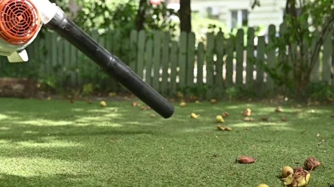 Cordless Leaf Blowers. handheld, cordless, electric leaf blower in a garden.. Stock Footage 250075140