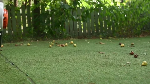 Cordless Leaf Blowers. handheld, cordless, electric leaf blower in a garden. Stock Footage 250075143
