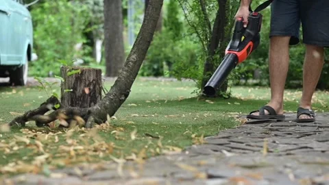 Cordless Leaf Blowers. handheld, cordless, electric leaf blower in a garden 스톡 동영상 279551062