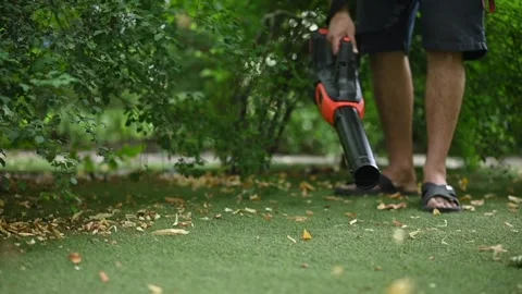 Cordless Leaf Blowers. handheld, cordless, electric leaf blower in a garden 스톡 동영상 279551063