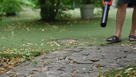 Cordless Leaf Blowers. handheld, cordless, electric leaf blower in a garden 스톡 동영상 279551070