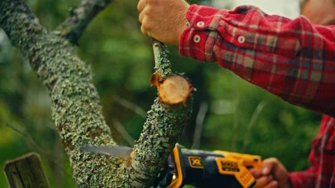 Cordless Reciprocating Saw Cutting Tree Branch - Norway Stock Footage 345639244