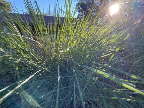 Cords of light Foto stock
