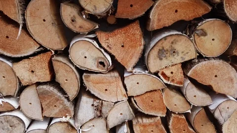 Cords of wood 库存影片 113410659