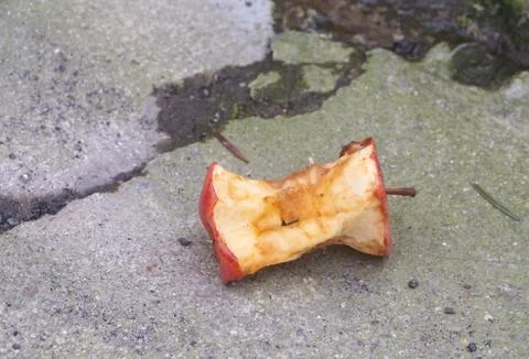 Core of an apple on the road Stock Photos