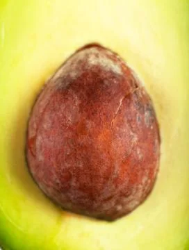 Core of avocado Stock Photos