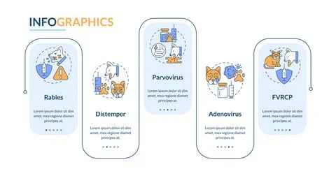 Core pet vaccinations rectangle infographic vector 스톡 일러스트
