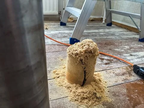 Core sample of wooden structure Stock Photos