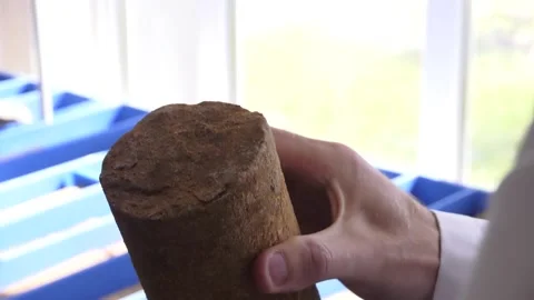 Core samples. Core samples in the hands of a geologist Video stock 100460751